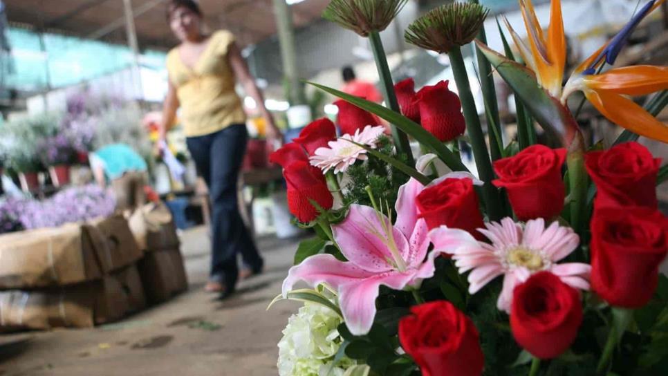 Día de las Madres podría reactivar economía: floristas