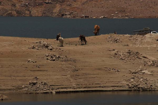 Ya sólo queda agua para consumo humano en las presas: Conagua