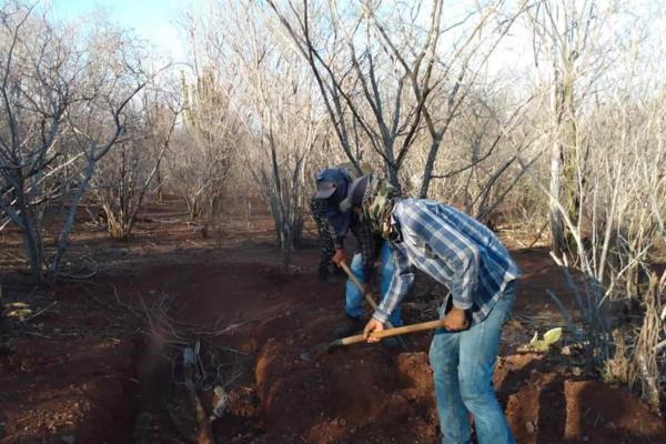 Fueron seis los cuerpos encontrados en El Rincón, El Fuerte