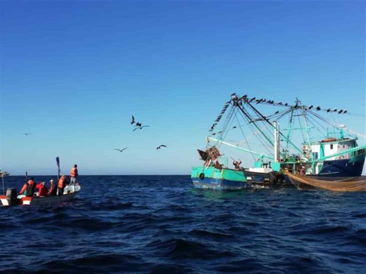 Pescadores denuncian que nadie vigila el mar Pescadores denuncian que nadie vigila el mar