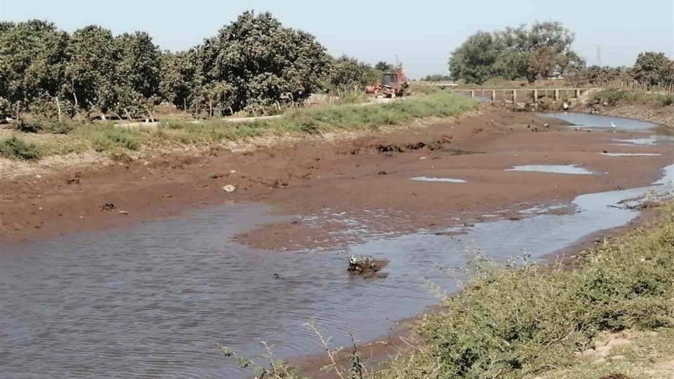 Detectan que módulos de riego extraen agua destinada a plantas de la JAPAMA