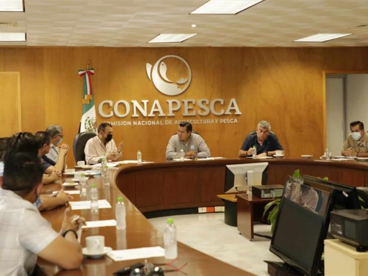 Piden armadores a Conapesca se sume para recuperar la certificación del camarón Piden armadores a Conapesca se sume para recuperar la certificación del camarón