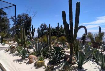 Sinaloa “arrasa” a nivel nacional en concurso de fotografía a la naturaleza