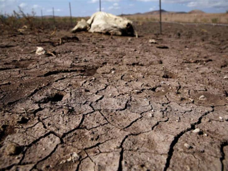 Preocupa la sequía; pide la SAyG a dependencias cuidar el agua Preocupa la sequía; pide la SAyG a dependencias cuidar el agua