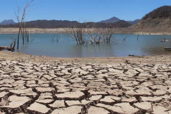 Tandean agua potable en Choix