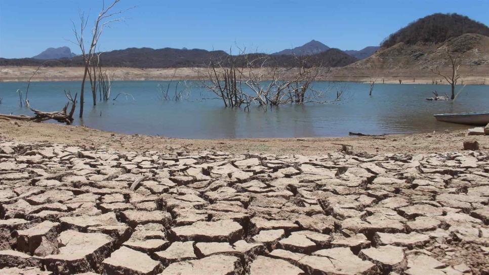 Choix, en situación de emergencia por sequía