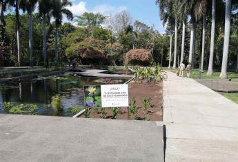 Proyecto Sendero fortalecerá al Jardín Botánico de Culiacán