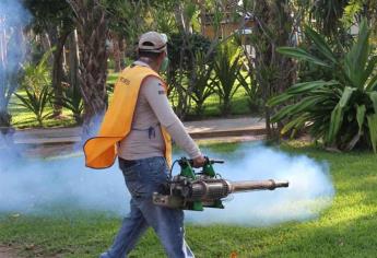 Suman 25 casos de dengue en Sinaloa este año