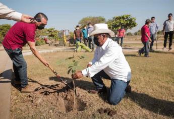 Ayuntamiento de Guasave planta más de 40 mil árboles