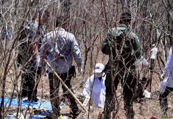 Localizan tres cuerpos en fosa clandestinas en Caitime, Salvador Alvarado