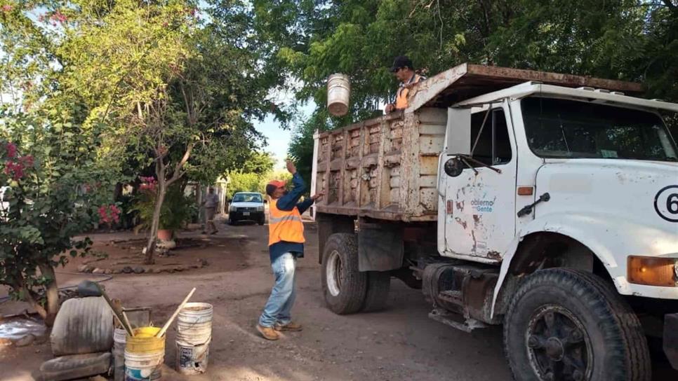 Colonias de Salvador Alvarado con alarma por presencia de larvas de moscos