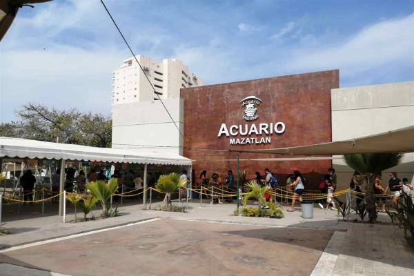 Prepara Acuario inauguración de la segunda etapa del pingüinario
