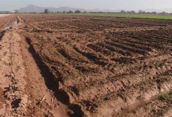 Deslinde de terrenos nacionales afectará agricultura de Sinaloa