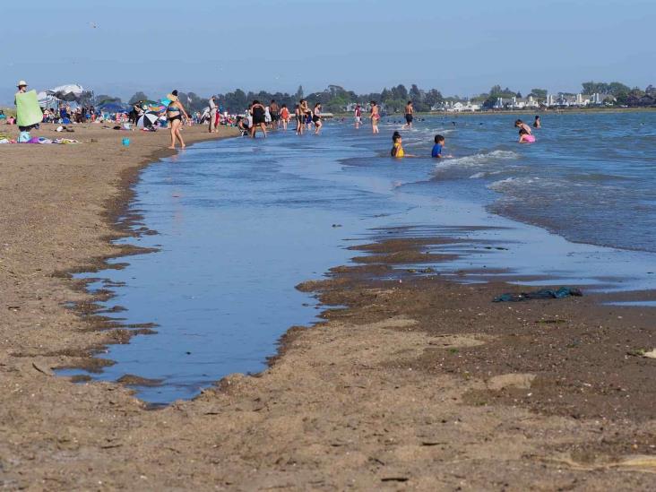California recurre a la última tecnología para luchar contra la sequía California recurre a la última tecnología para luchar contra la sequía