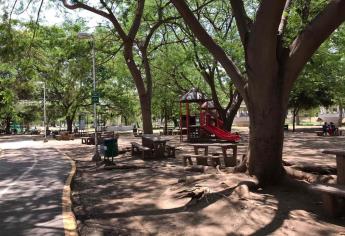 Sembrarán 400 árboles en el Parque Las Riberas de Culiacán en tres etapas