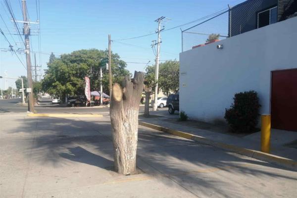 Talan árboles y dejan sin sombra a peatones en Los Mochis
