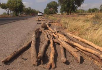 Retiran cercos a invasores de terrenos en la carretera Los Mochis-El Fuerte