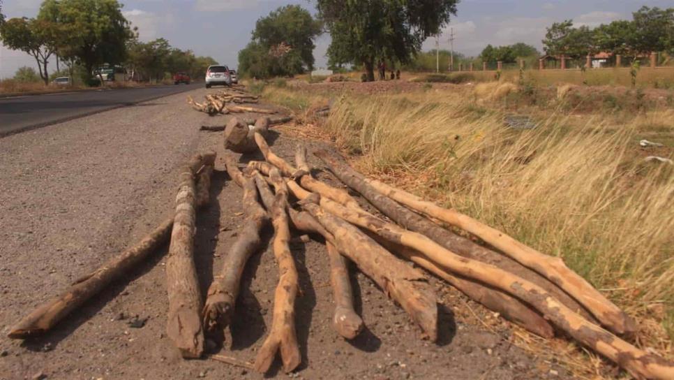 Retiran cercos a invasores de terrenos en la carretera Los Mochis-El Fuerte