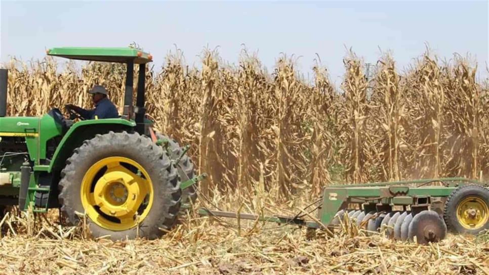 Hoy es Día del Trabajador Agrícola: ¿Sabes cuál es el valor de esta actividad en números?