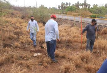 Reforestan por segunda ocasión el Cerro de la Memoria