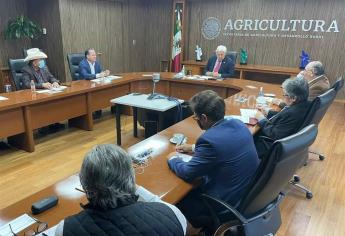 Sinaloa propone ordenamiento de mercado para próximo ciclo agrícola