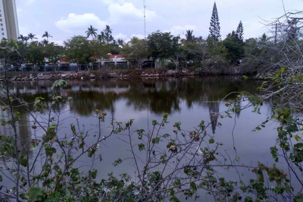 Estero del Yugo recupera su vegetación, pero sufre de los excesos de basura