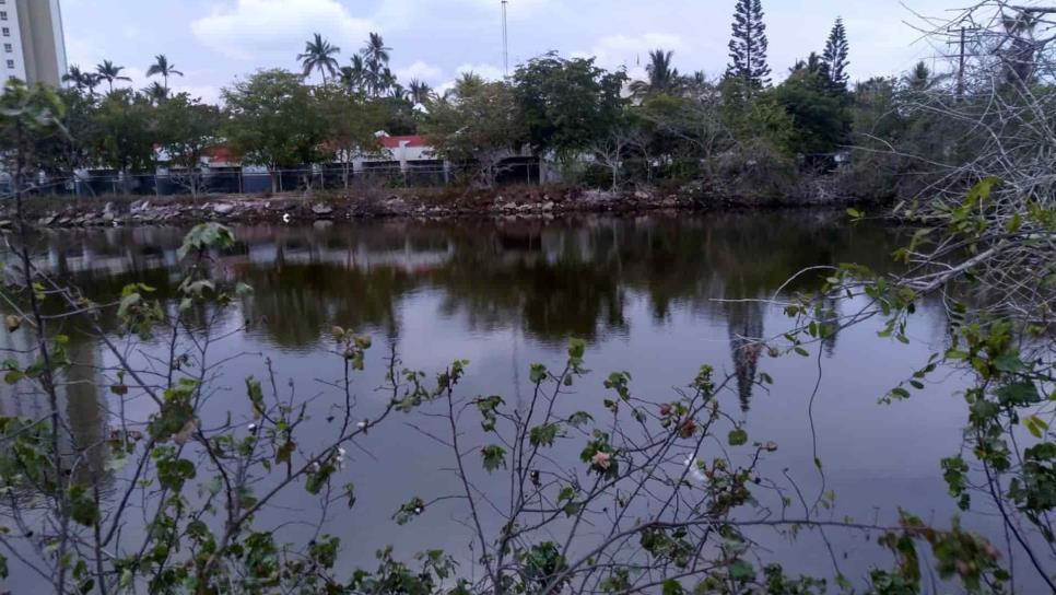 Estero del Yugo recupera su vegetación, pero sufre de los excesos de basura