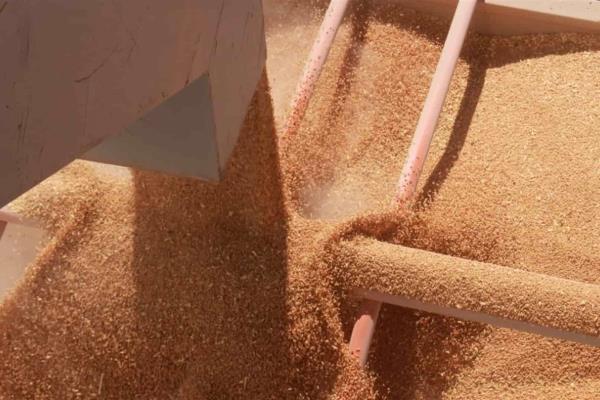 Difícil hablar de un solo precio en AxC: bodegueros