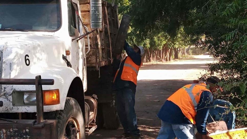 Este sábado se eliminarán criaderos en seis colonias de Los Mochis