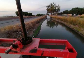Módulos de riego quedan desfalcados por sequía en Sinaloa: AURPAES