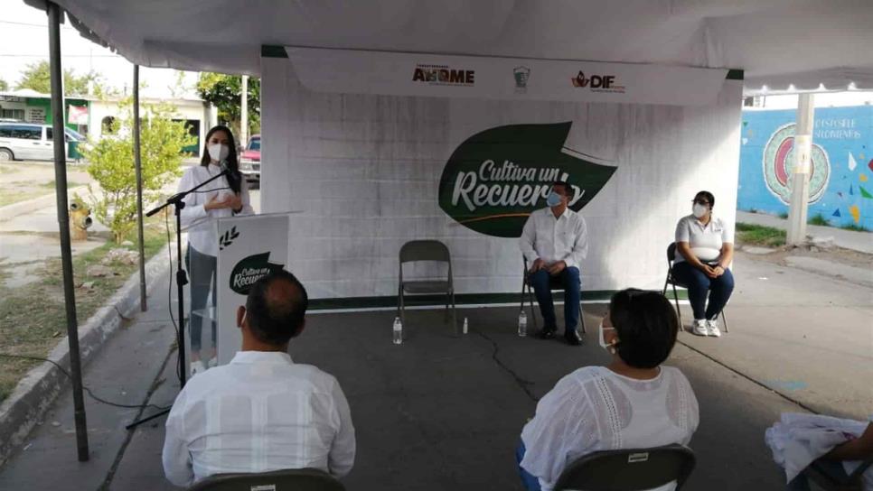 Arranca DIF Ahome programa “Cultiva un Recuerdo” en parque de Los Naranjos