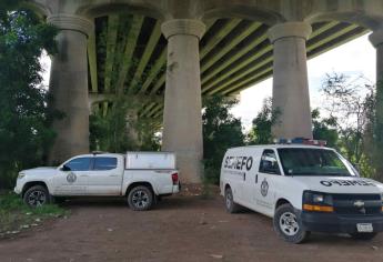 Rastreadoras encuentran cadáver bajo el puente que conduce al Hospital de la Mujer