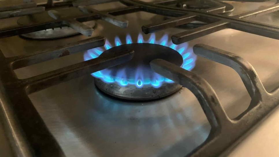 Temen empresarios que regulación de precios del Gas LP les perjudique