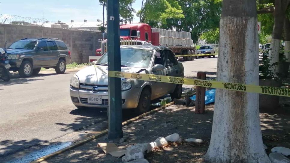 Adulto muere por picaduras de abejas en el Parque Industrial Canacintra de Culiacán