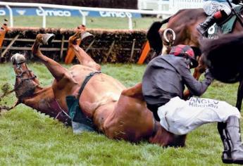 Muere caballo de carreras después de ser drogado con cocaína por su dueño