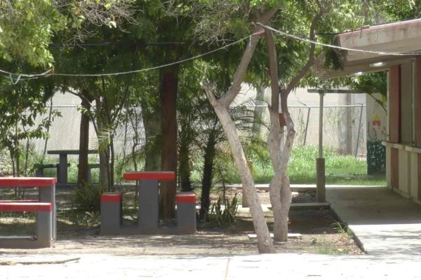 En trámite pago del seguro a 20 escuelas vandalizadas de Ahome