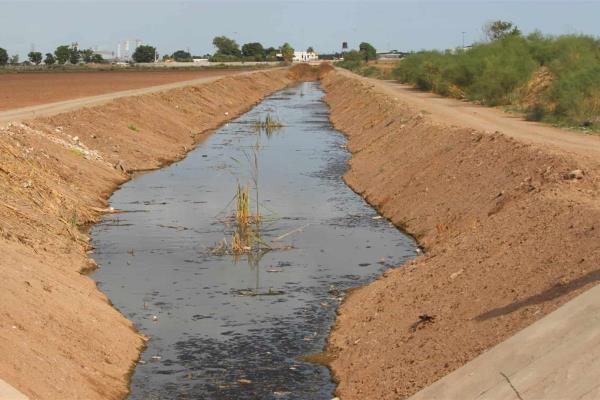 Contemplan pavimentación del dren Juárez hasta la carretera México 15