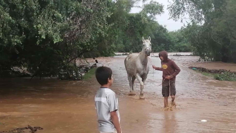 Se desborda el río San Lorenzo y deja incomunicada a Quilá con Oso Nuevo