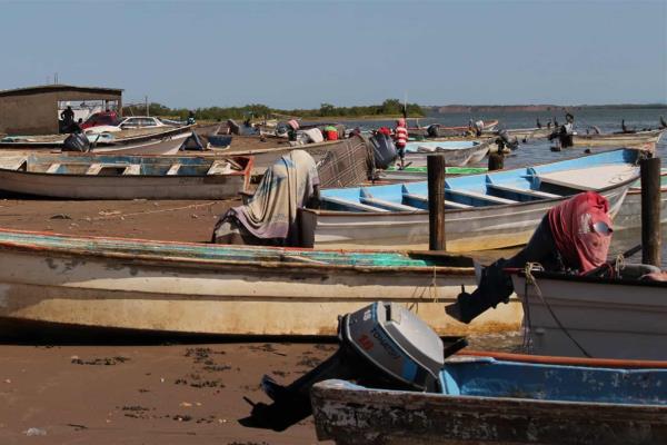 Denuncian captura furtiva de camarón en El Jitzámuri