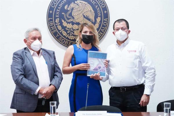 Ordena CEAIP a mil sujetos obligados a facilitar información pública
