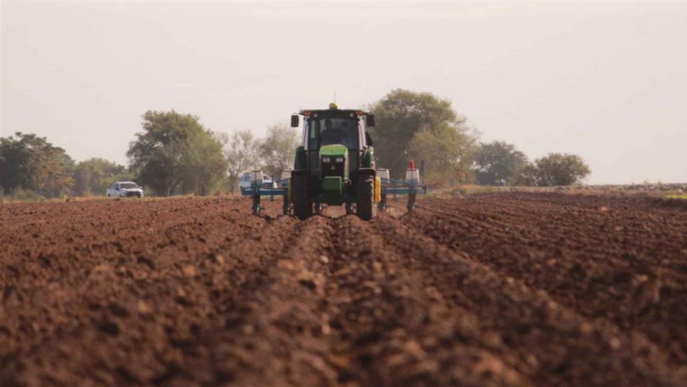 Ya hay fecha para planificar ciclo agrícola en Sinaloa