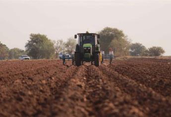 Campesinos de Sinaloa piden conformar padrón para fertilizantes gratuitos
