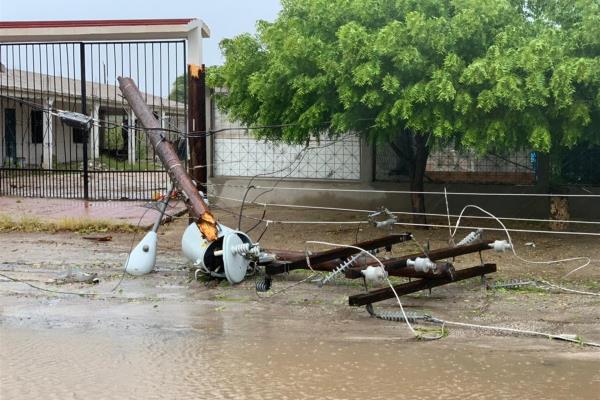 CFE restablece al 63 % de los usuarios afectados por Olaf en BCS