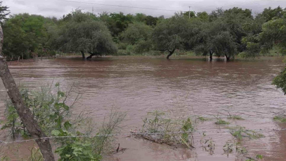 Detecta PC de El Fuerte arroyos con potencial peligroso y llama a evitarlos