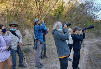Invitan a taller de observación de aves migratorias en Mazatlán y Monte Mojino