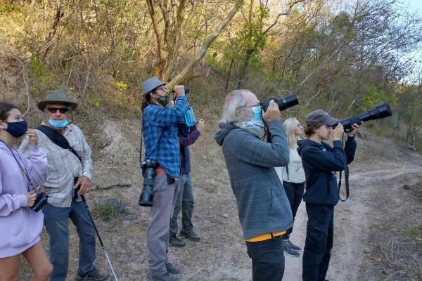 Invitan a taller de observación de aves migratorias en Mazatlán y Monte Mojino