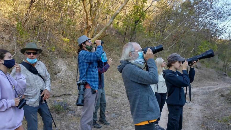 Invitan a taller de observación de aves migratorias en Mazatlán y Monte Mojino