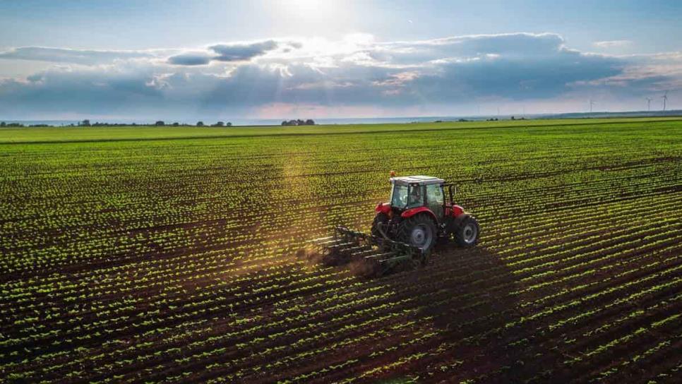 Productores agropecuarios pagarán más impuestos en 2022