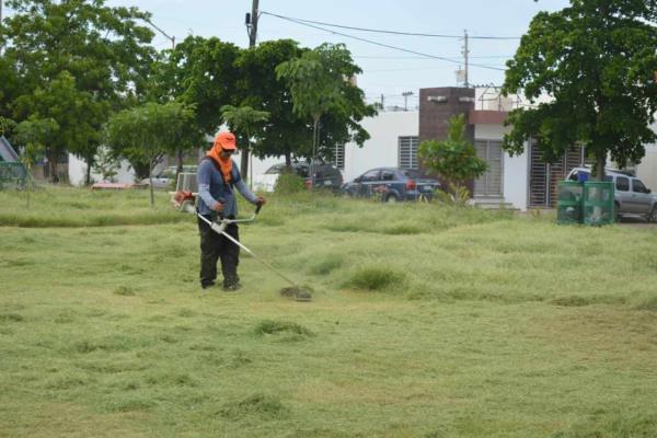 Limpian camellones, jardines y áreas verdes en Culiacán