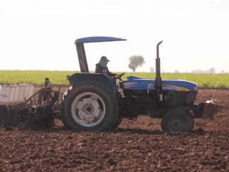 Se encarecen insumos agrícolas para esta temporada Se encarecen insumos agrícolas para esta temporada